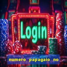 numero papagaio no jogo do bicho